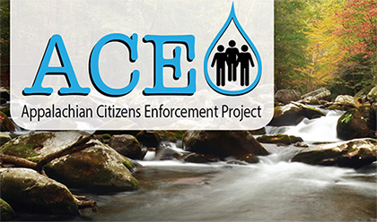 ace_project